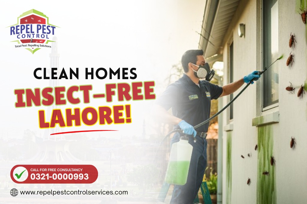 insect control in lahore