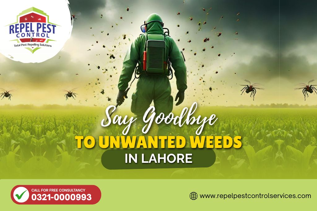 weedicides treatment in lahore