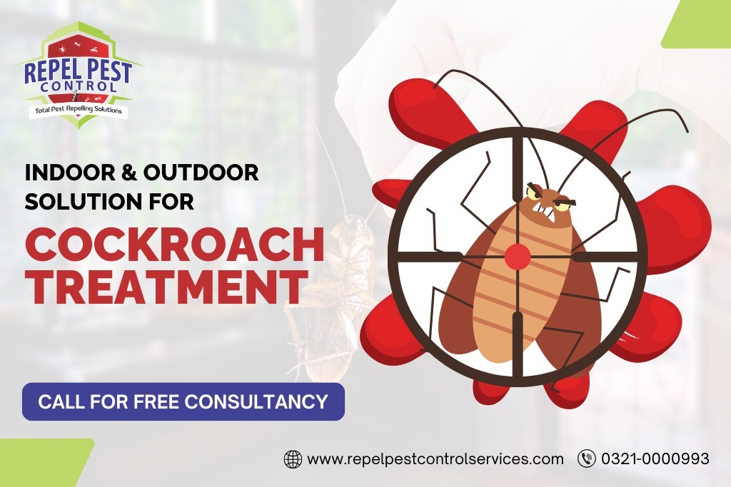 Cockroach Treatment in Lahore