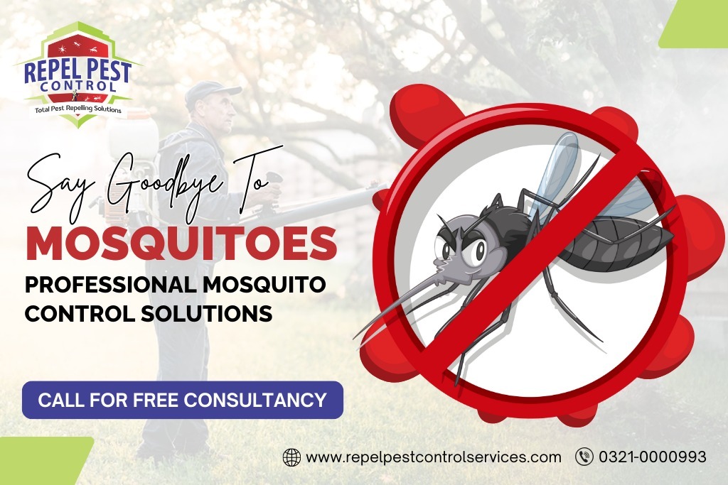 Mosquitoes Treatment in Lahore