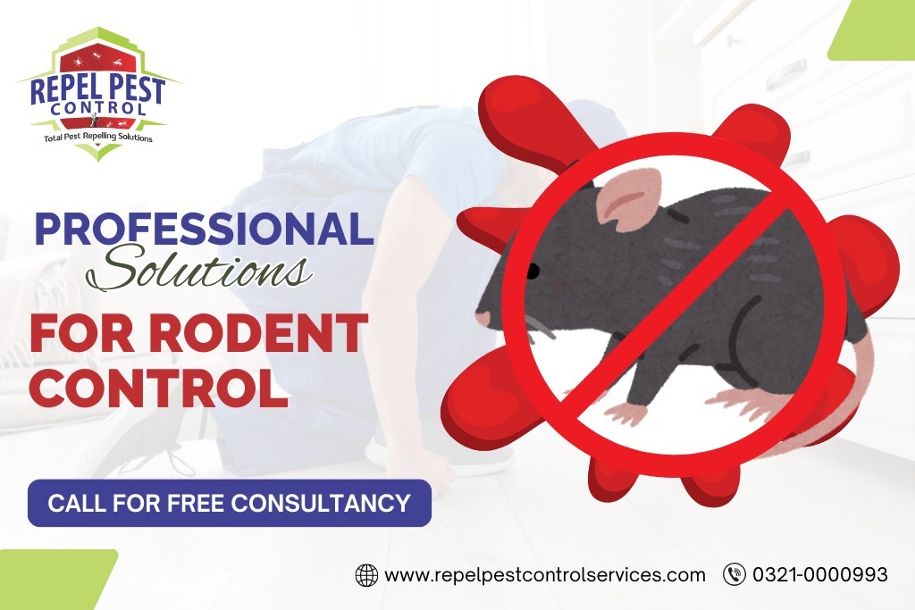 Rats Treatment in Lahore