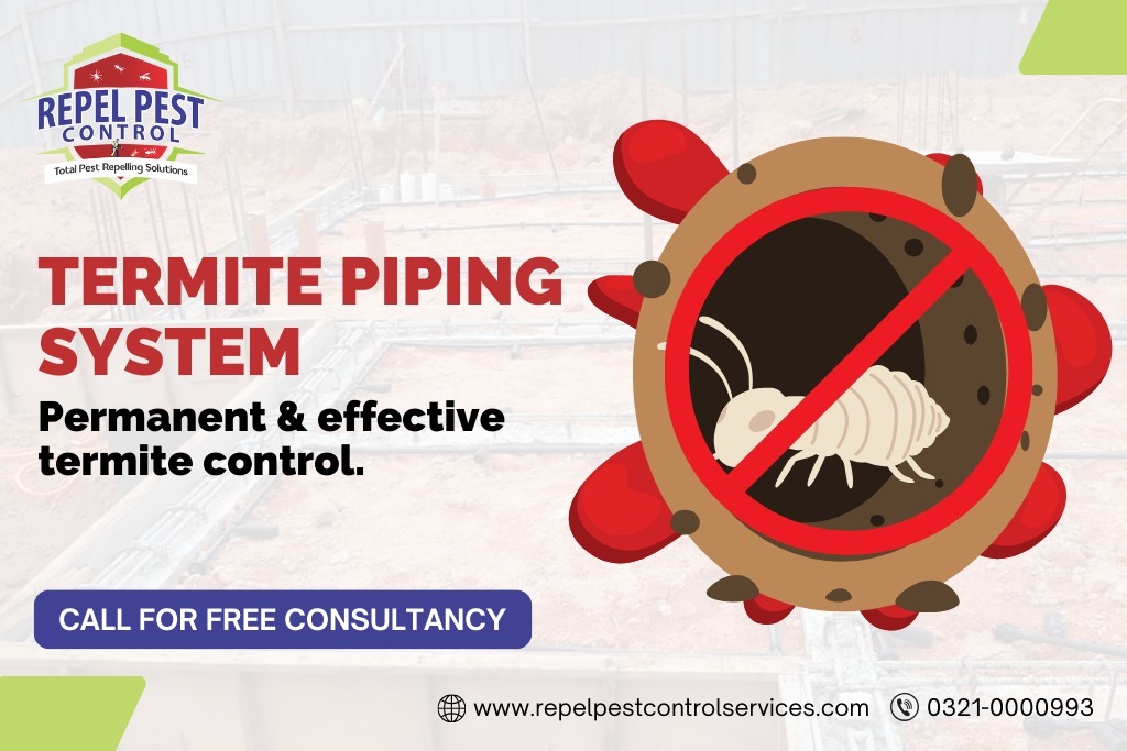 Termite Piping System in Lahore