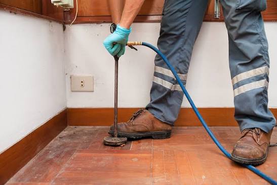 Termite Control Services in DHA Lahore