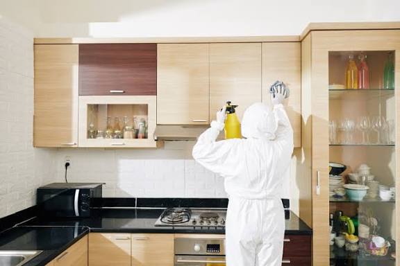 Termite Control Services in DHA Lahore