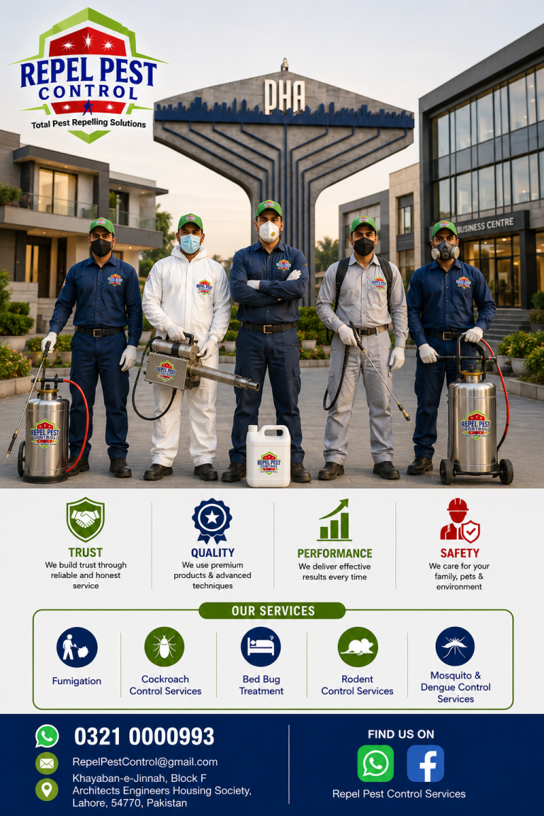Termite Control Services in DHA Lahore