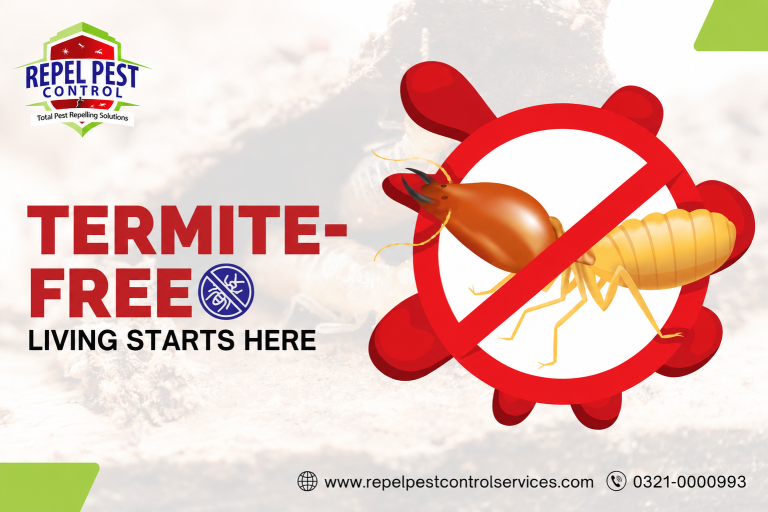 Termite Control Services in DHA Lahore