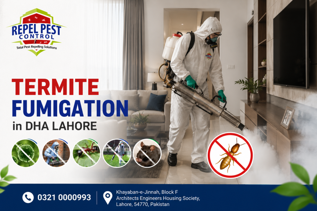 Termite Control Services in DHA Lahore
