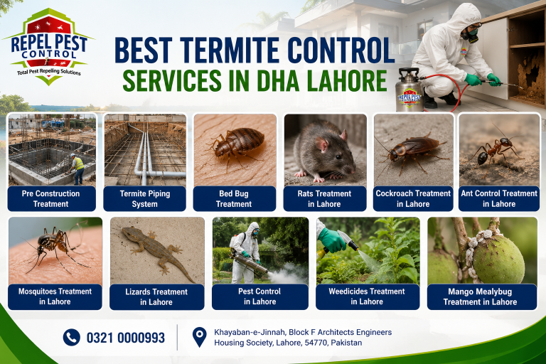 Termite Control Services in DHA Lahore