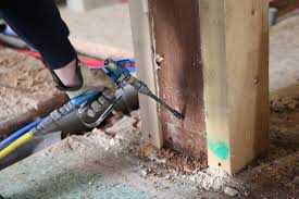 Termite Control Services in DHA Lahore